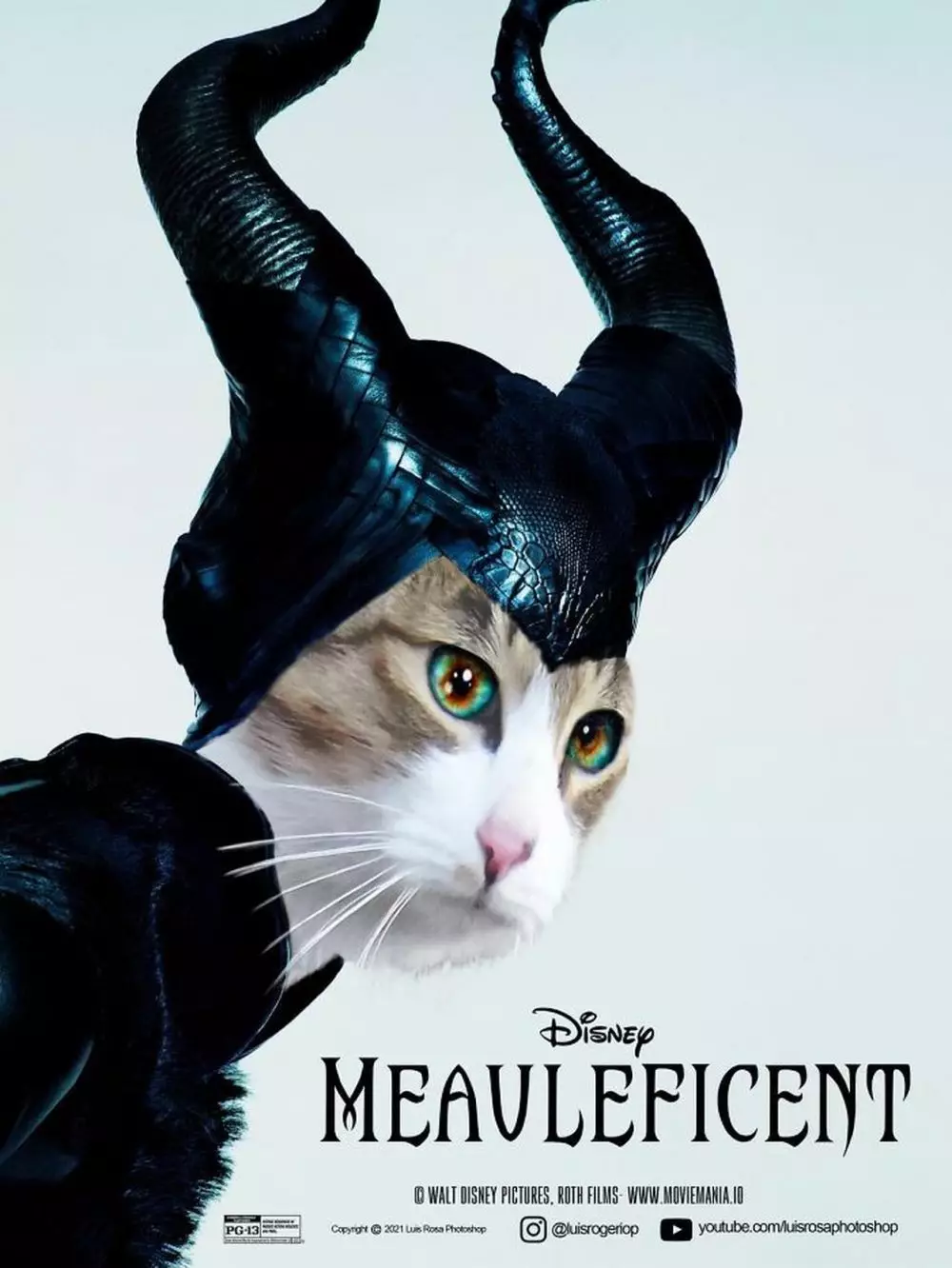 poster film diedit jadi kucing Berbagai sumber