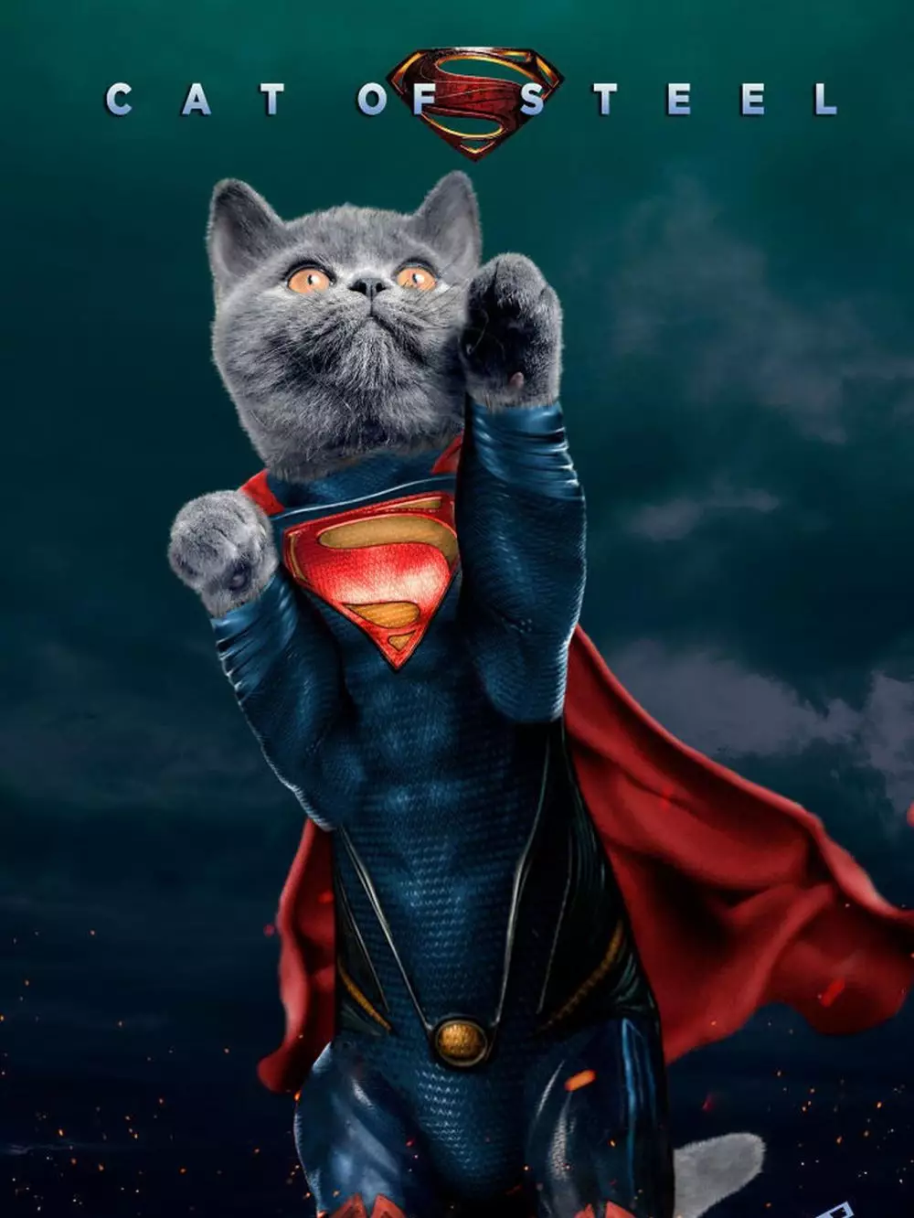 poster film diedit jadi kucing Berbagai sumber