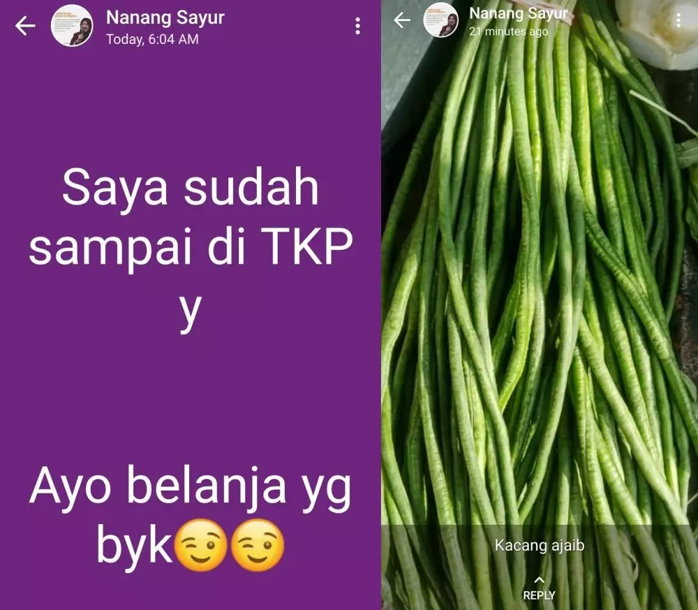 promosi dagangan di status WA © berbagai sumber