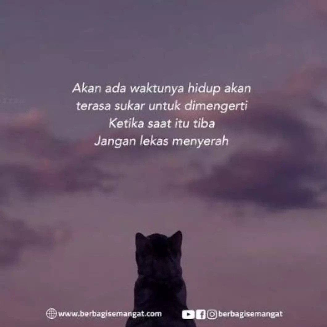 50 Kata-kata bijak optimistis penuh semangat, bikin pantang menyerah