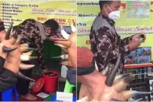 Viral teknik bekam pakai tanduk, komentar netizen kocak abis