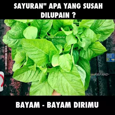 tebakan lucu nama sayur © 2021 brilio.net