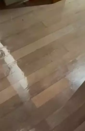 kondisi rumah Nisya © YouTube kondisi rumah Nisya © YouTube