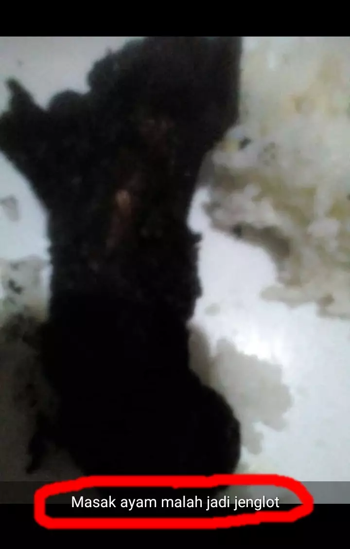 status lucu gagal makan enak © 2021 Twitter