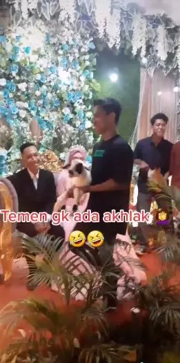 viral hadiah nikah unik anak kambing TikTok viral hadiah nikah unik anak kambing TikTok