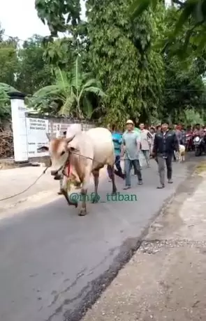 seserahan gabah tujuh mobil Berbagai sumber