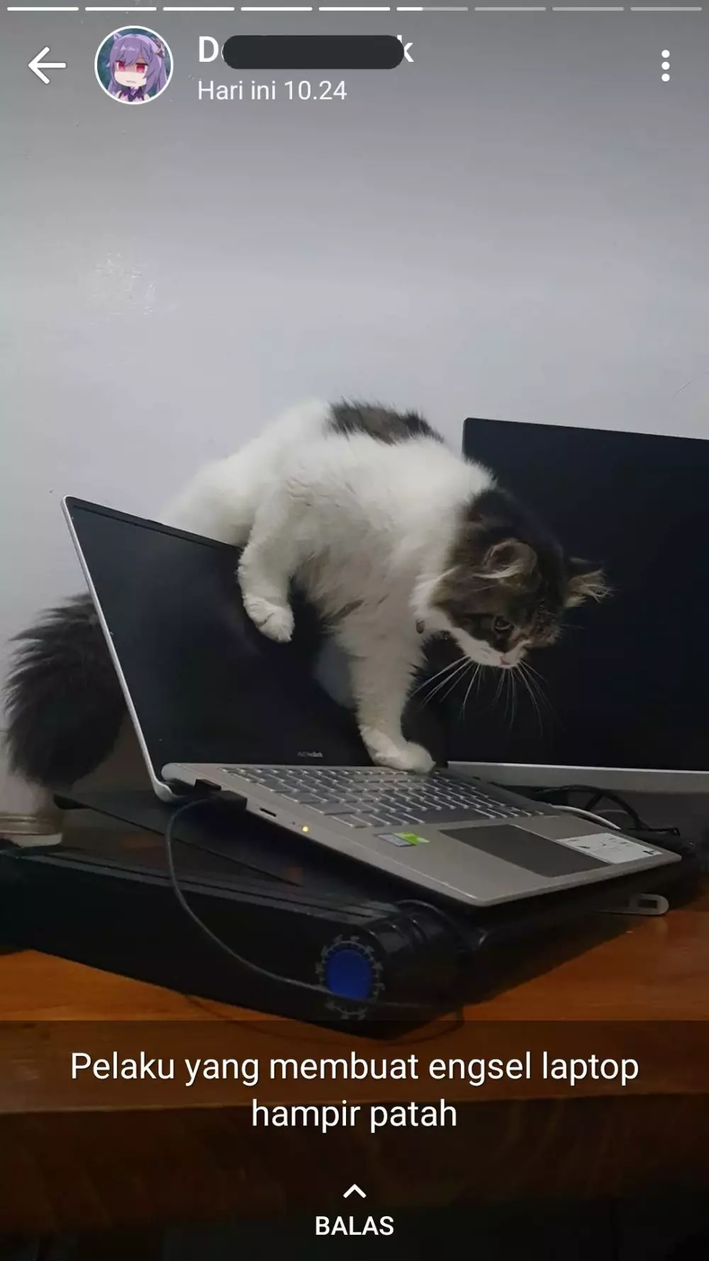 Status lucu mahasiswa di WA © Twitter Status lucu mahasiswa di WA © Twitter