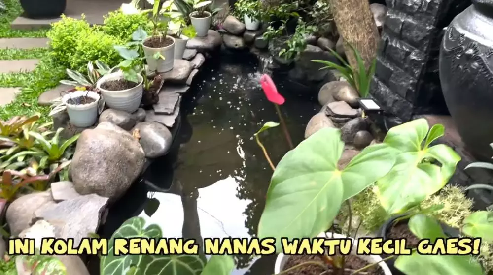 halaman rumah Amy Qanita © YouTube halaman rumah Amy Qanita © YouTube