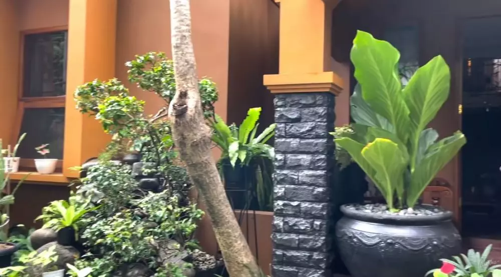 halaman rumah Amy Qanita © YouTube halaman rumah Amy Qanita © YouTube