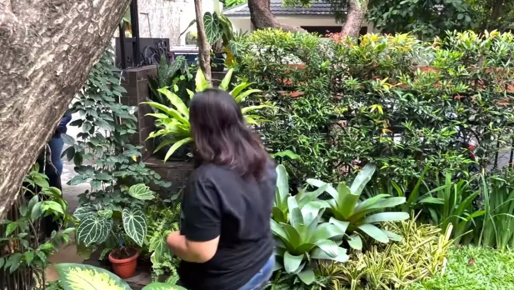 halaman rumah Amy Qanita © YouTube halaman rumah Amy Qanita © YouTube