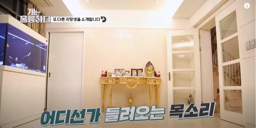 Potret rumah mewah Lee Da-in YouTube/KBS WORLD TV