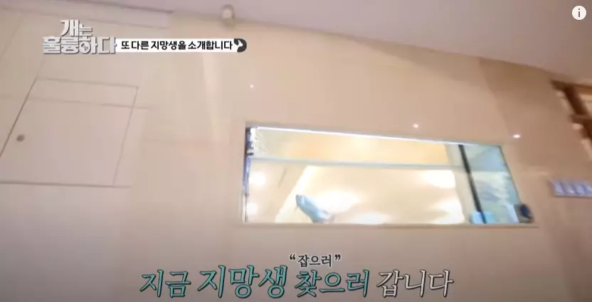 Potret rumah mewah Lee Da-in YouTube/KBS WORLD TV