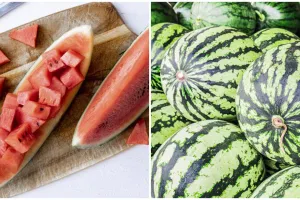 6 Cara memilih buah semangka yang manis dan segar