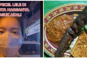 Buntut panjang video viral mahalnya pecel lele di Malioboro