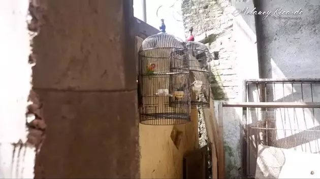 rumah Abdul Hamid Pak Ogah © 2021 brilio.net YouTube