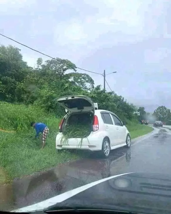 potret lucu di pinggir jalan © 2021 Instagram