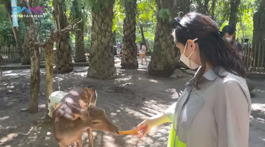 Momen Nagita ngidam ketemu gajah © 2021 brilio.net