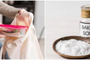 5 Cara membersihkan kotak makan yang kusam, antiribet