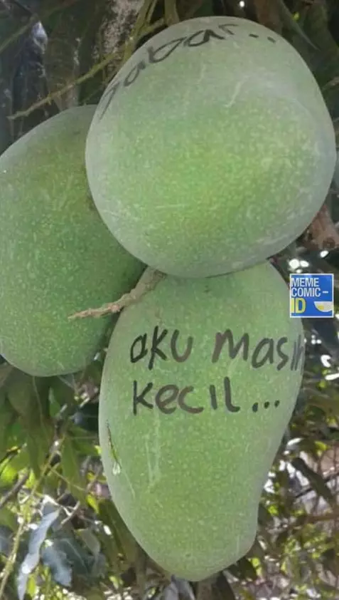 cara nyeleneh amankan mangga © 2021 berbagai sumber cara nyeleneh amankan mangga © 2021 berbagai sumber