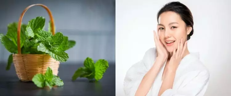 7 Manfaat daun mint untuk kecantikan, obati jerawat dan cerahkan kulit