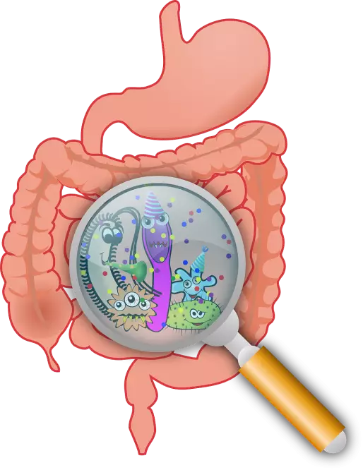 Manfaat kubis turunkan kadar kolesterol © 2021 brilio.net