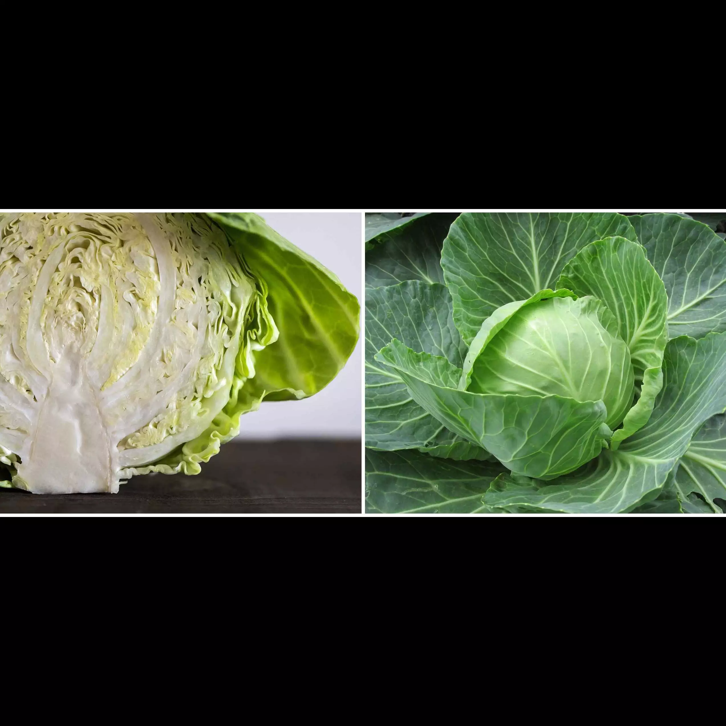 9 Manfaat kubis untuk kesehatan, bantu turunkan kadar kolesterol