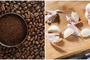 9 Cara ampuh mengusir semut yang ada di dapur, praktis dan alami