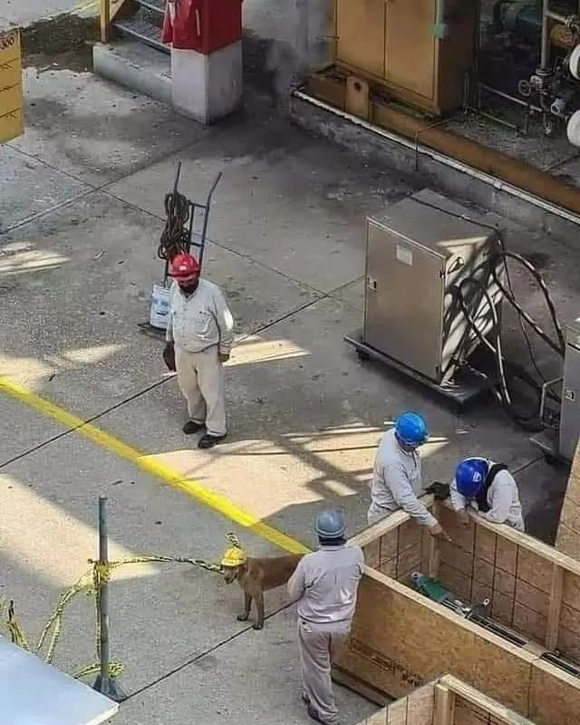 kerja sama bikin bangunan © 2021 instagram.com