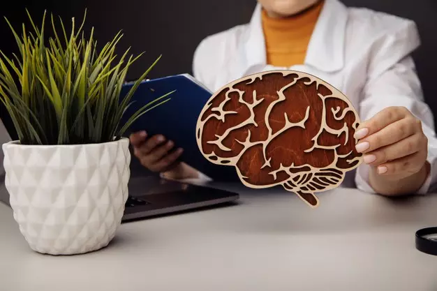 Manfaat daun pegagan untuk kesehatan © freepik.com Manfaat daun pegagan untuk kesehatan © freepik.com