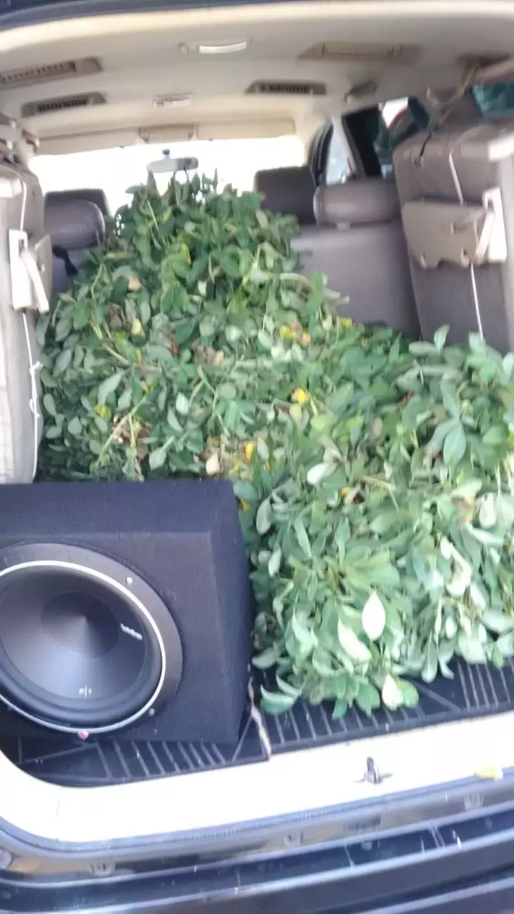 Potret lucu bagasi mobil © berbagai sumber Potret lucu bagasi mobil © berbagai sumber