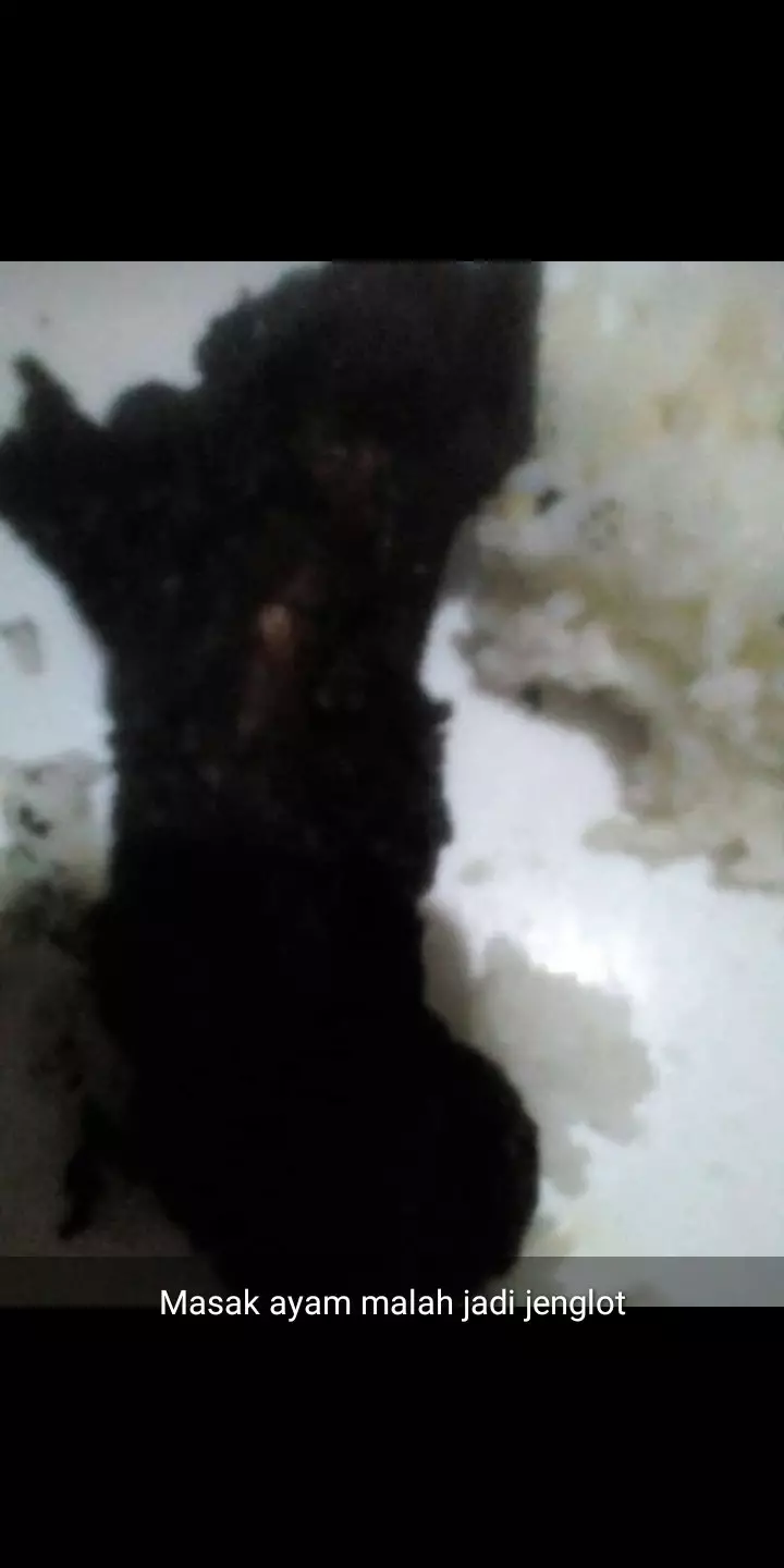 status pamer kreasi makanan © 2021 berbagai sumber