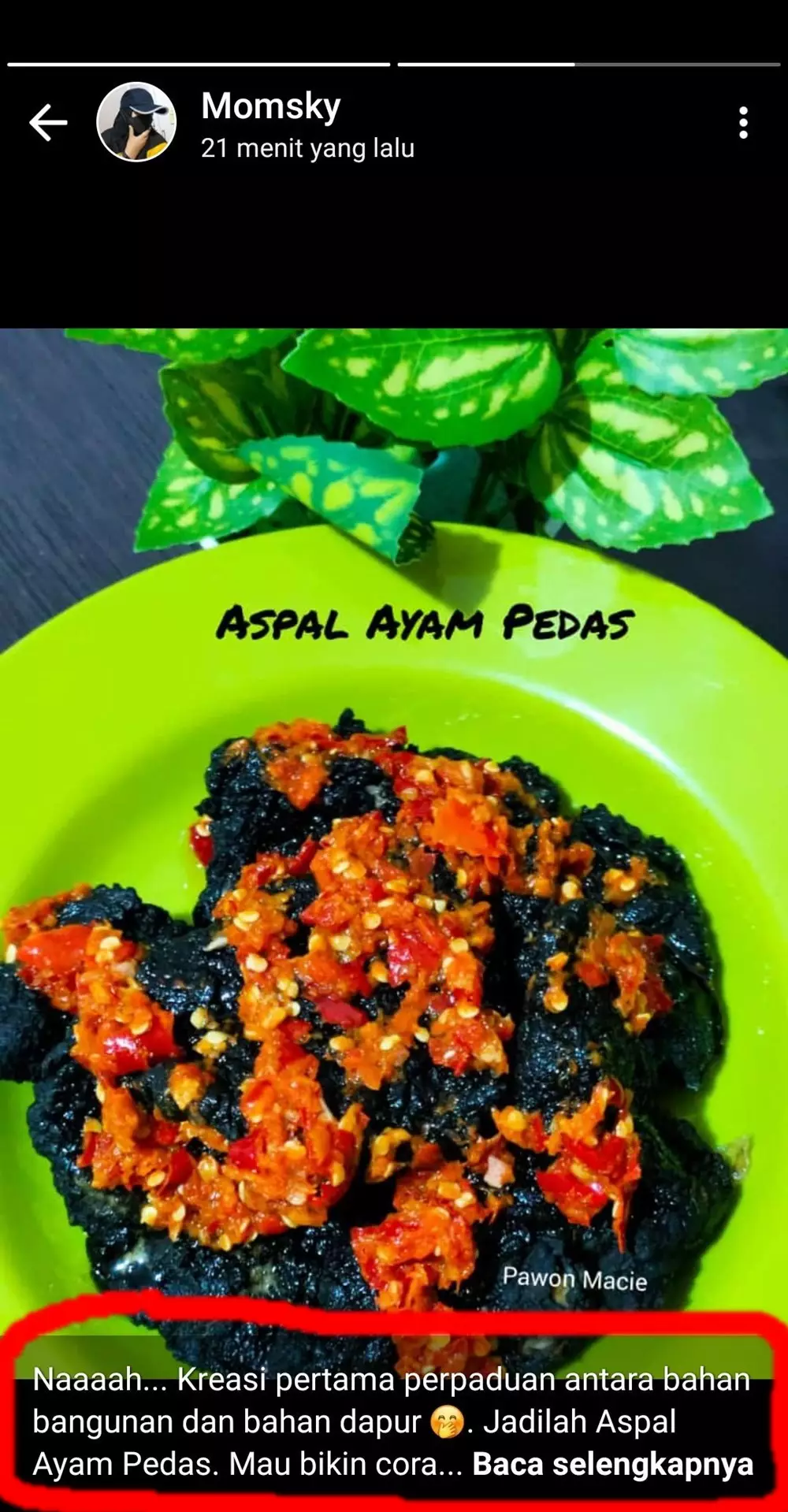 status pamer kreasi makanan © 2021 berbagai sumber