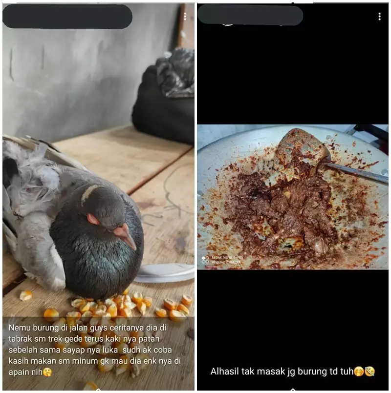 status pamer kreasi makanan © 2021 berbagai sumber