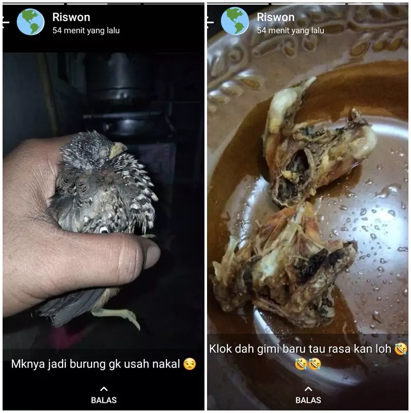 status pamer kreasi makanan © 2021 berbagai sumber