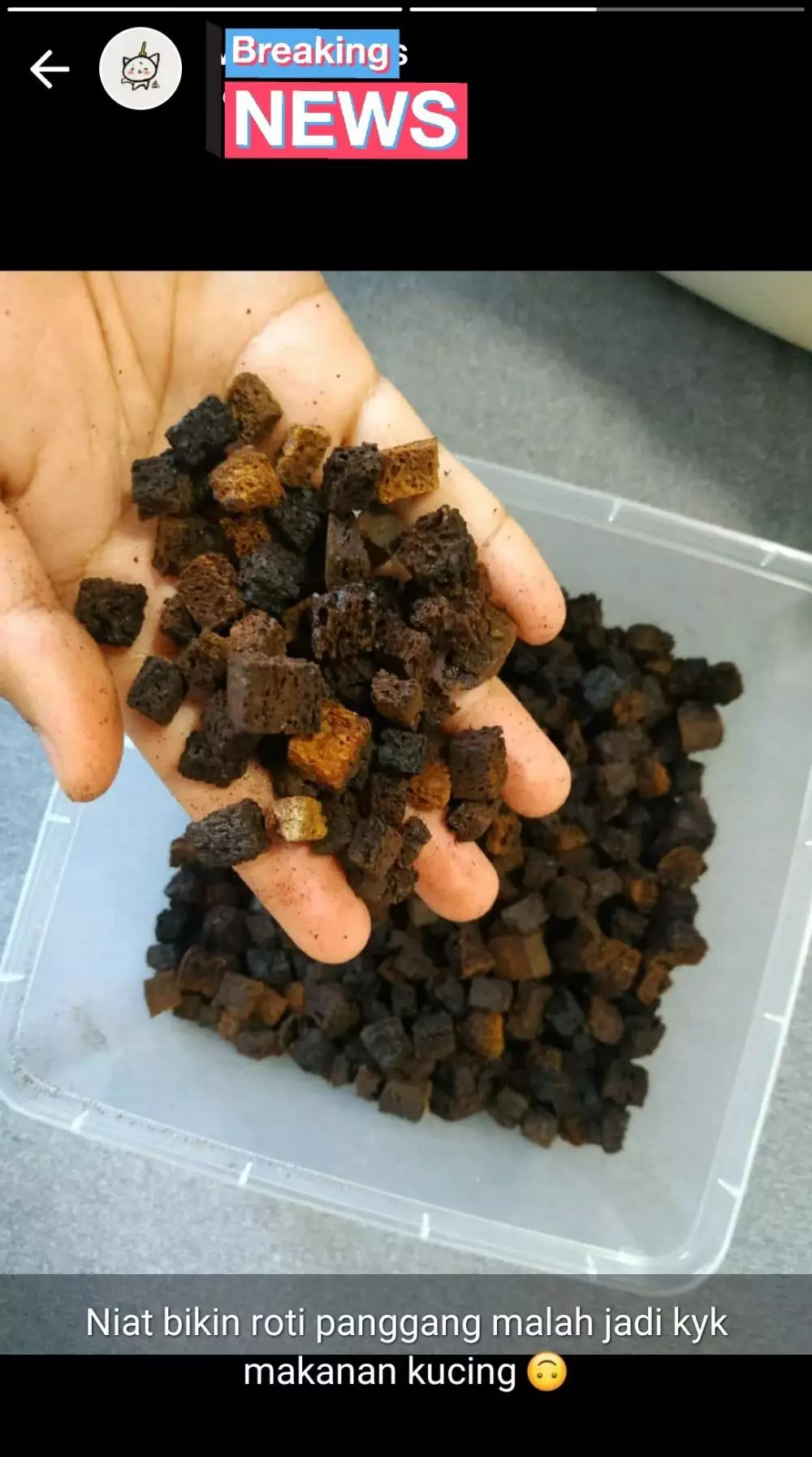 status pamer kreasi makanan © 2021 berbagai sumber