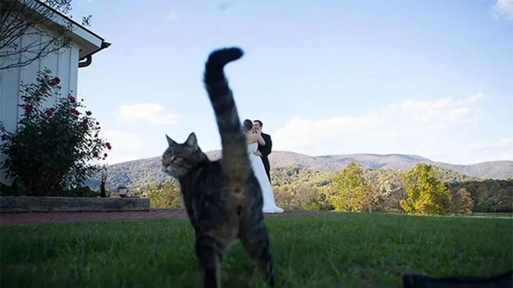 momen apes pas prewedding berbagai sumber momen apes pas prewedding berbagai sumber