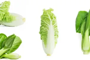 5 Cara memasak sawi agar tidak pahit, mudah dan praktis