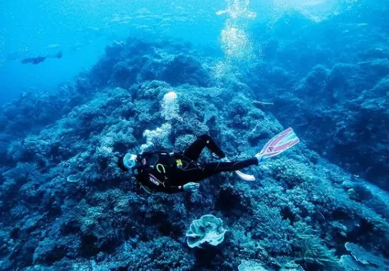 Momen liburan Awkarin di Labuan Bajo © Instagram/@awkarin Momen liburan Awkarin di Labuan Bajo © Instagram/@awkarin