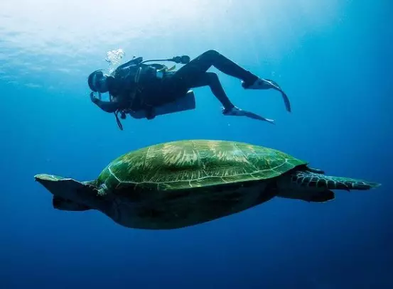 Momen liburan Awkarin di Labuan Bajo © Instagram/@awkarin Momen liburan Awkarin di Labuan Bajo © Instagram/@awkarin