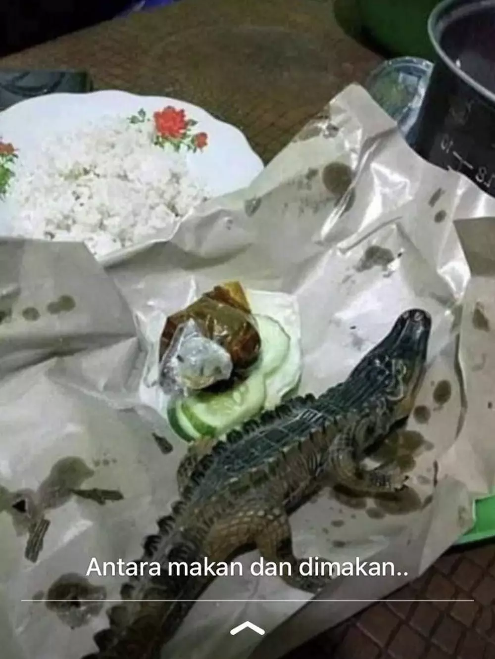 mainan jadi lauk makanan berbagai sumber