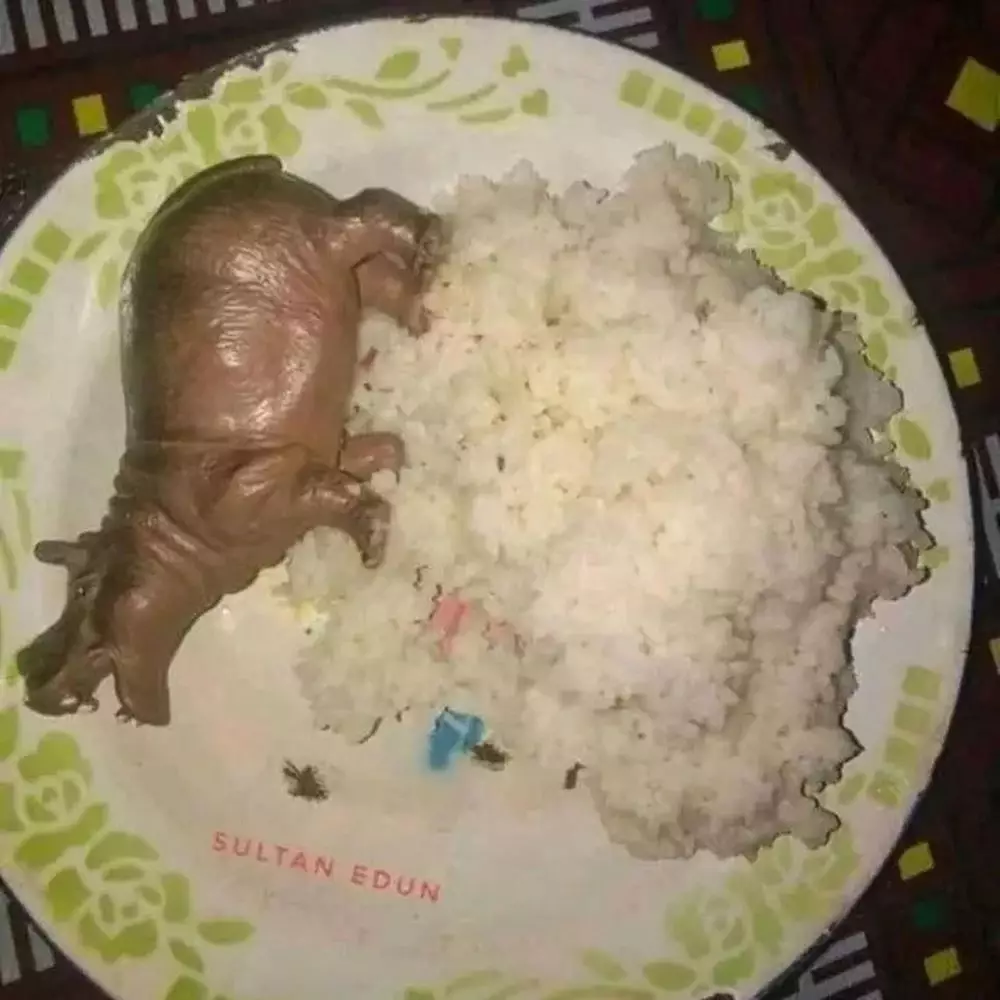 mainan jadi lauk makanan berbagai sumber