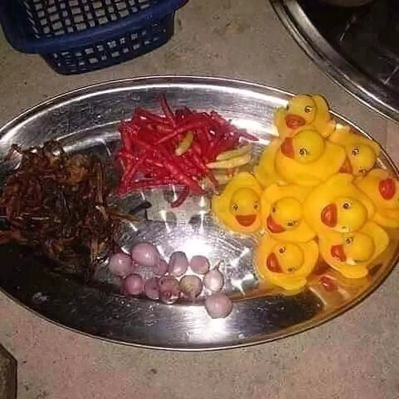 mainan jadi lauk makanan berbagai sumber