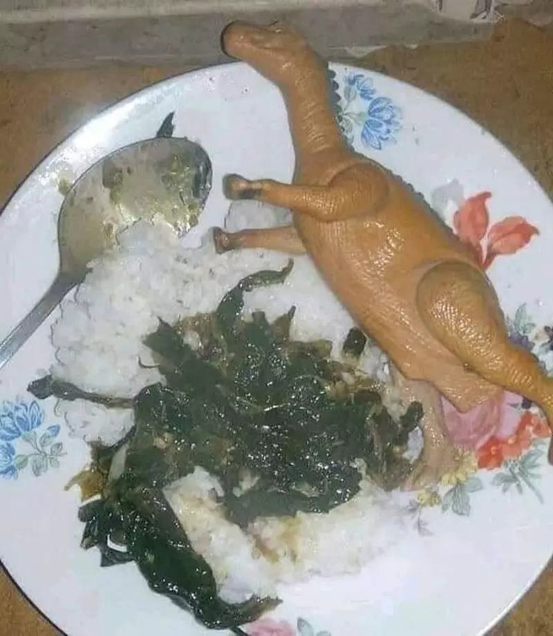 mainan jadi lauk makanan berbagai sumber