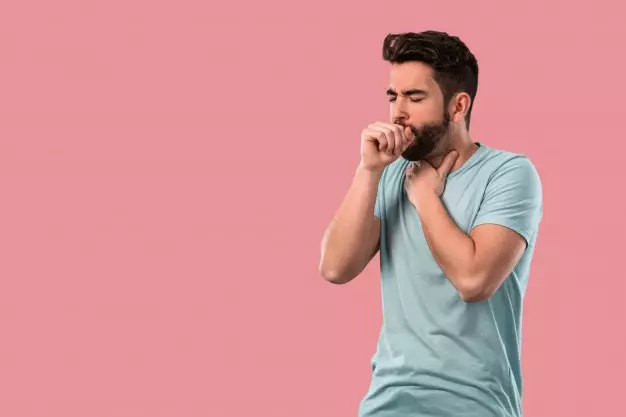 Manfaat daun dewa © 2021 brilio.net Manfaat daun dewa © 2021 brilio.net