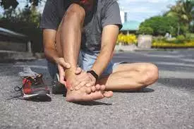 Manfaat daun dewa © 2021 brilio.net Manfaat daun dewa © 2021 brilio.net