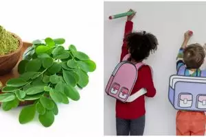 10 Manfaat daun kelor untuk anak, tingkatkan kecerdasan otak