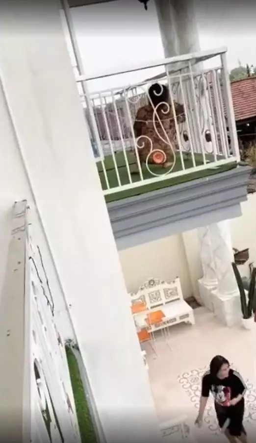 balkon pedangdut cantik © Instagram balkon pedangdut cantik © Instagram