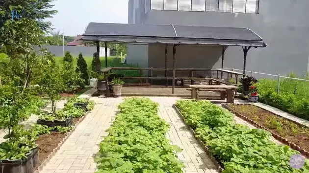 kebun pribadi prilly Berbagai sumber