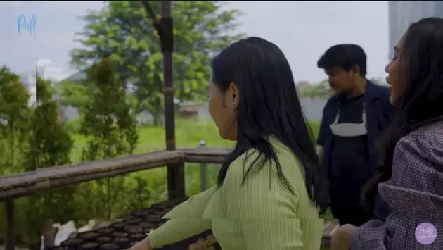 kebun pribadi prilly Berbagai sumber