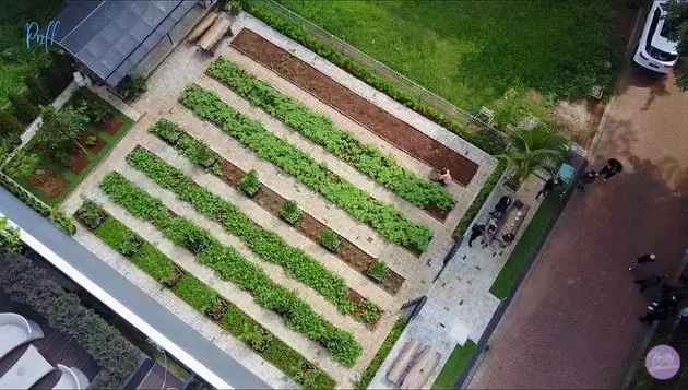 kebun pribadi prilly Berbagai sumber